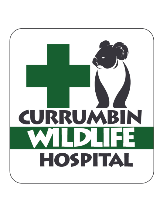 CURRUMBIN WILDLIFE Hospital