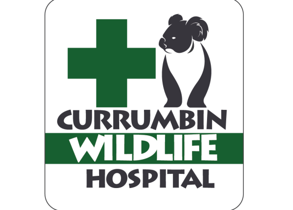 CURRUMBIN WILDLIFE Hospital