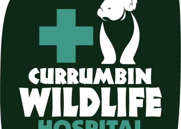 Currumbin Wildlife Hospital